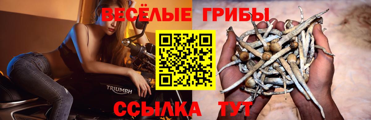 Галлюциногенные грибы MAGIC MUSHROOMS Фурманов