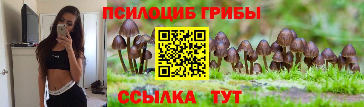 Псилоцибиновые грибы прущие грибы  Вход с VPN  Фурманов 